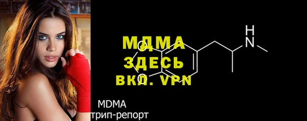 mdpv Бородино